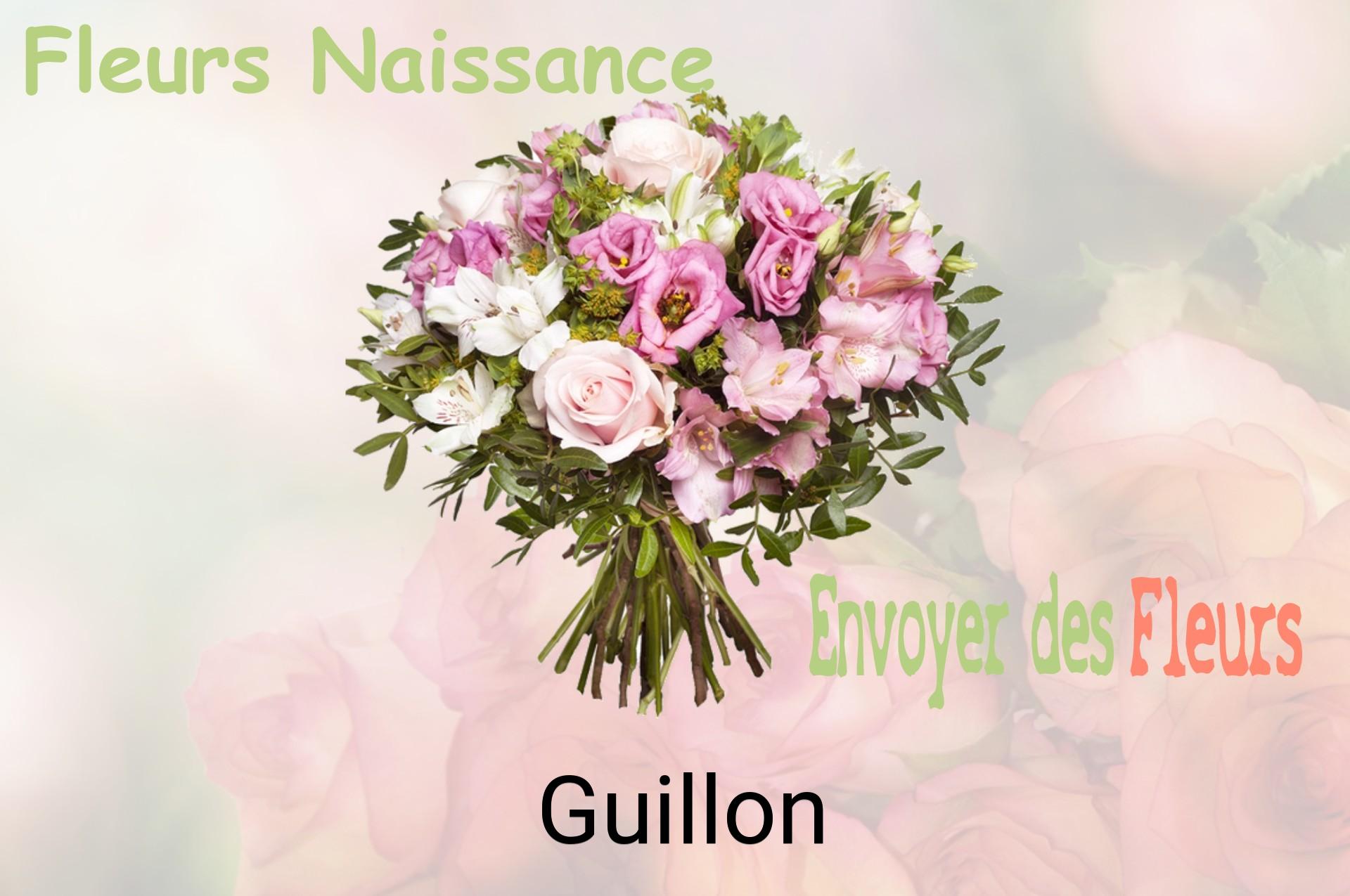 Bouquet de fleurs de naissance livré à Guillon